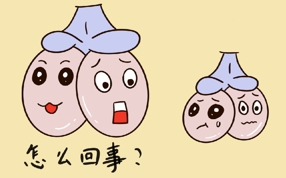男性睾丸发育异常怎么办?