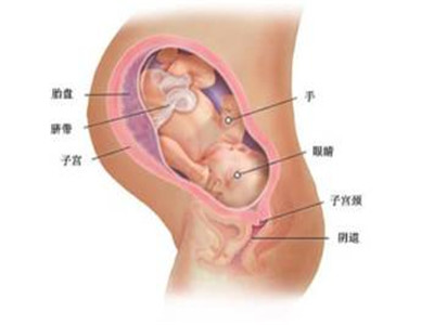 受精卵着床症状 孕妇需提前知